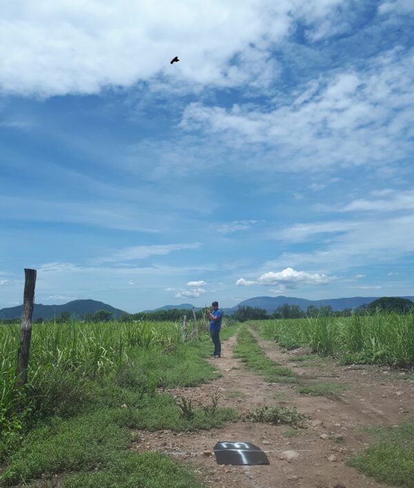 Vuelo de dron - Image 4